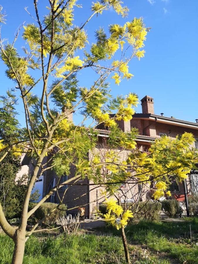 B&B Casa Dei Camini Bentivoglio Eksteriør bilde